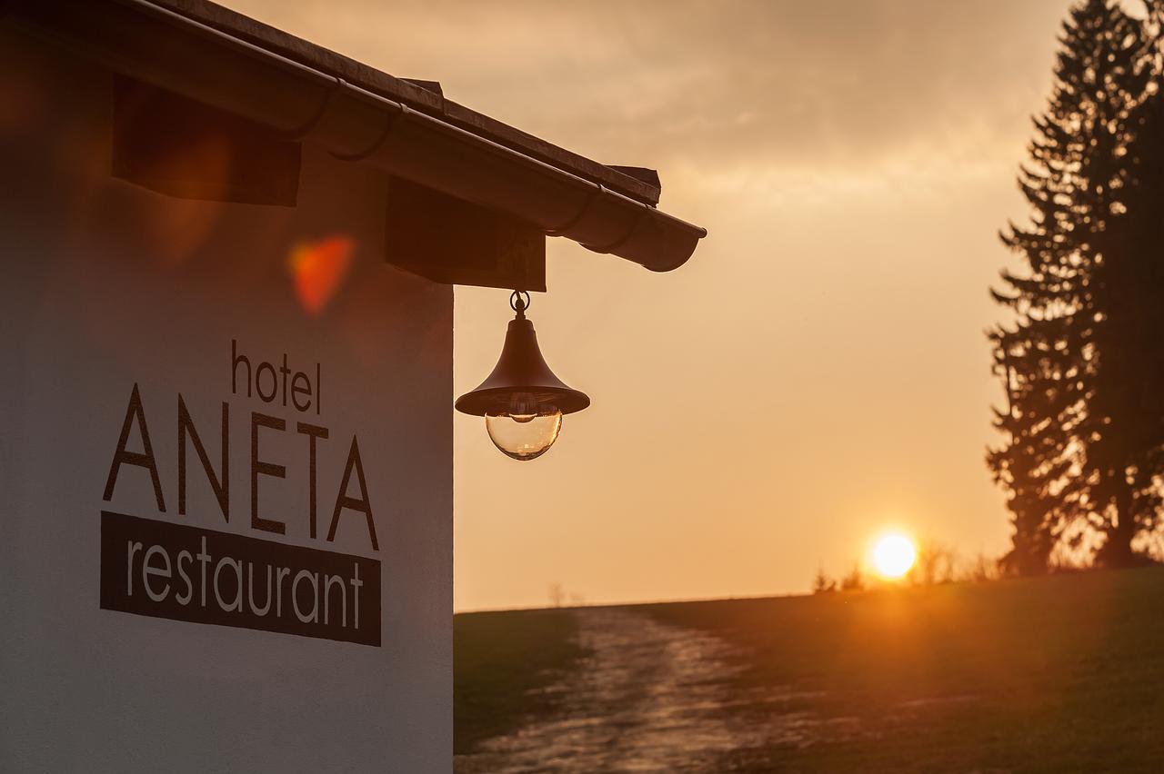 Aneta Hotel & Restaurant Vítkovice Eksteriør bilde