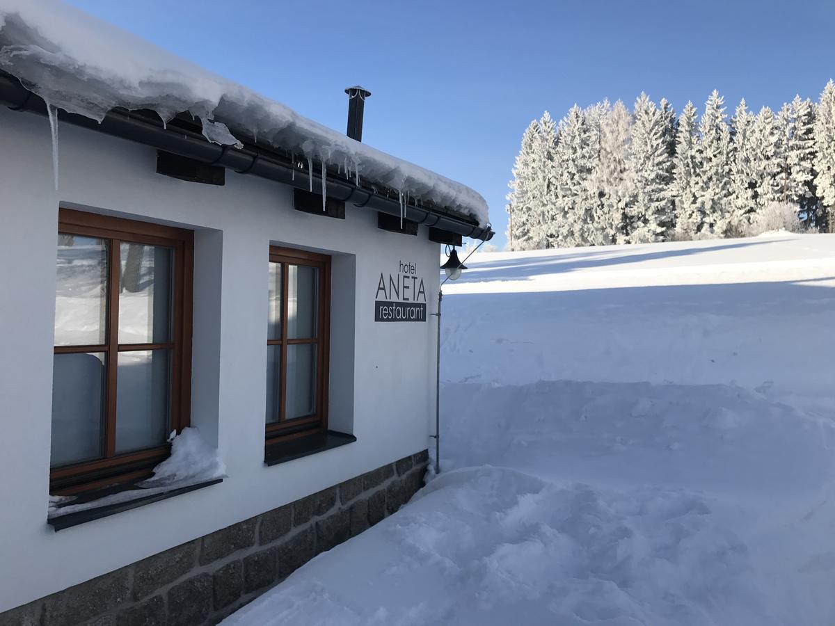 Aneta Hotel & Restaurant Vítkovice Eksteriør bilde