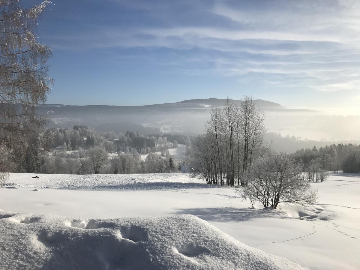 Aneta Hotel & Restaurant Vítkovice Eksteriør bilde